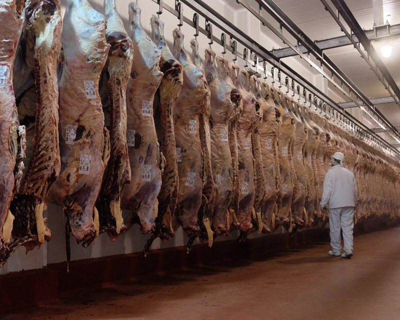 Se abren las exportaciones de carne a China a partir del lunes