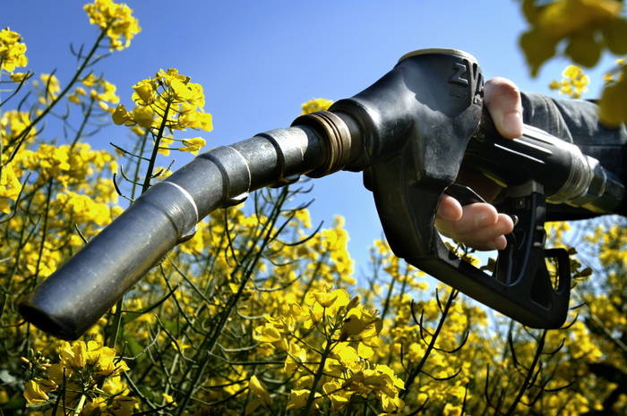 El gobierno triplicaría el corte del biodiesel en el gasoil para paliar la crisis de abastecimiento