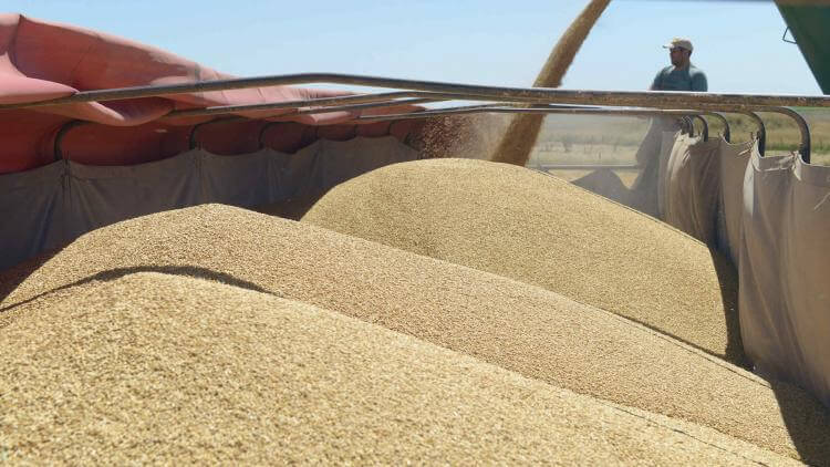 Agroexportadores comenzaron a adelantar los dólares prometidos al Gobierno