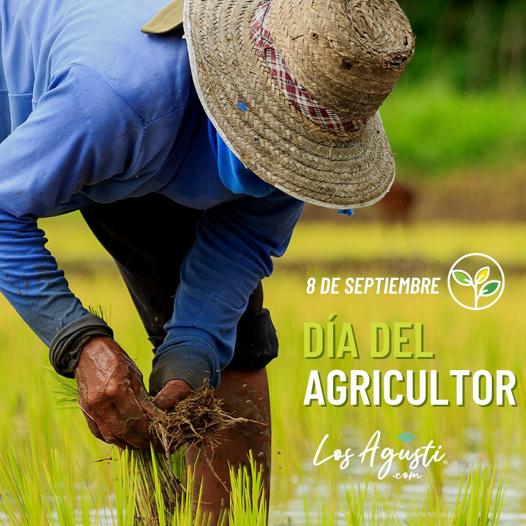 Reconocimiento en el Día del Agricultor y del Productor Agropecuario