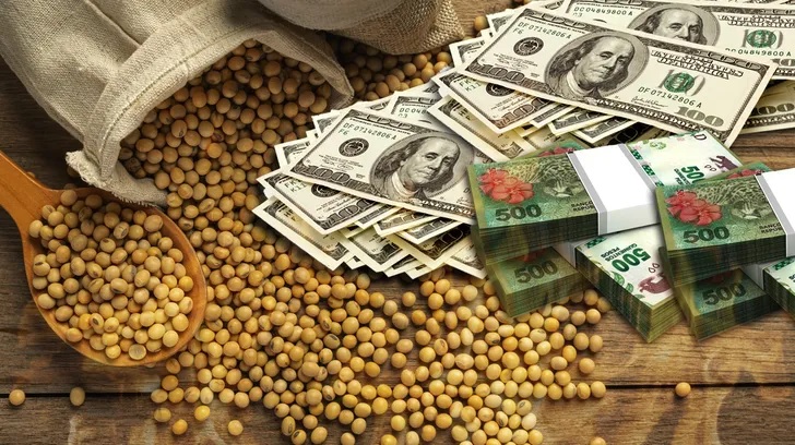 Las ventas de soja suman 13,8 millones de toneladas con la norma que rige hasta el viernes