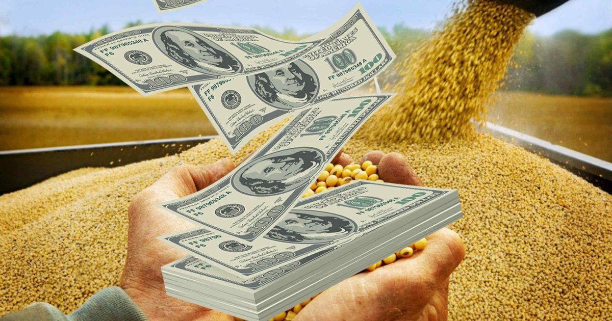 Dólar soja: la liquidación del agro ya superó los USD 7.000 millones en septiembre