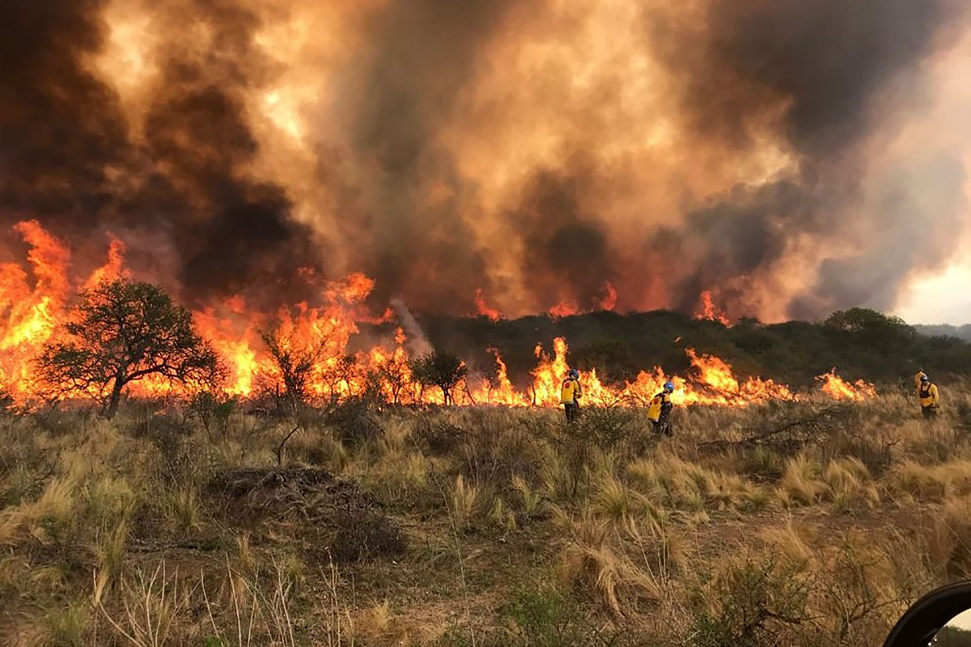 Solicitan declarar urgente la Emergencia agropecuaria en los departamentos del arco noroeste de Córdoba