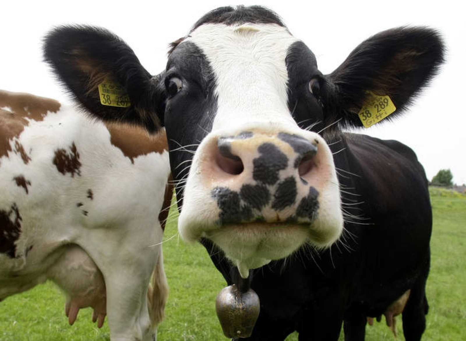 En 2023 los productores no pagan tasas por trámites agropecuarios