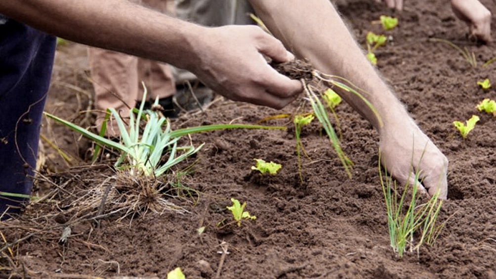 La Asociación Argentina de Productores Agropecuarios pidió