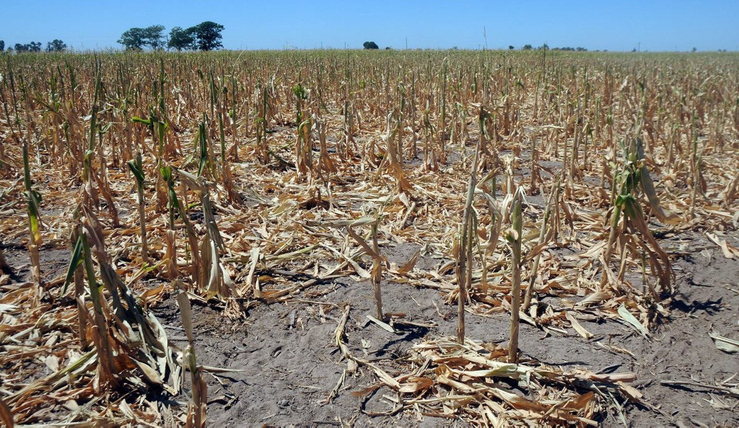 El costo de la sequía sobrepasa  los US$10.425 millones y afecta las metas de crecimiento
