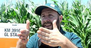 Zona núcleo: los tips claves para sembrar maíz muy tardío
