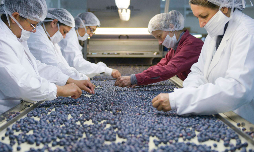 El Gobierno creó un registro nacional de “pymes agroalimentarias”