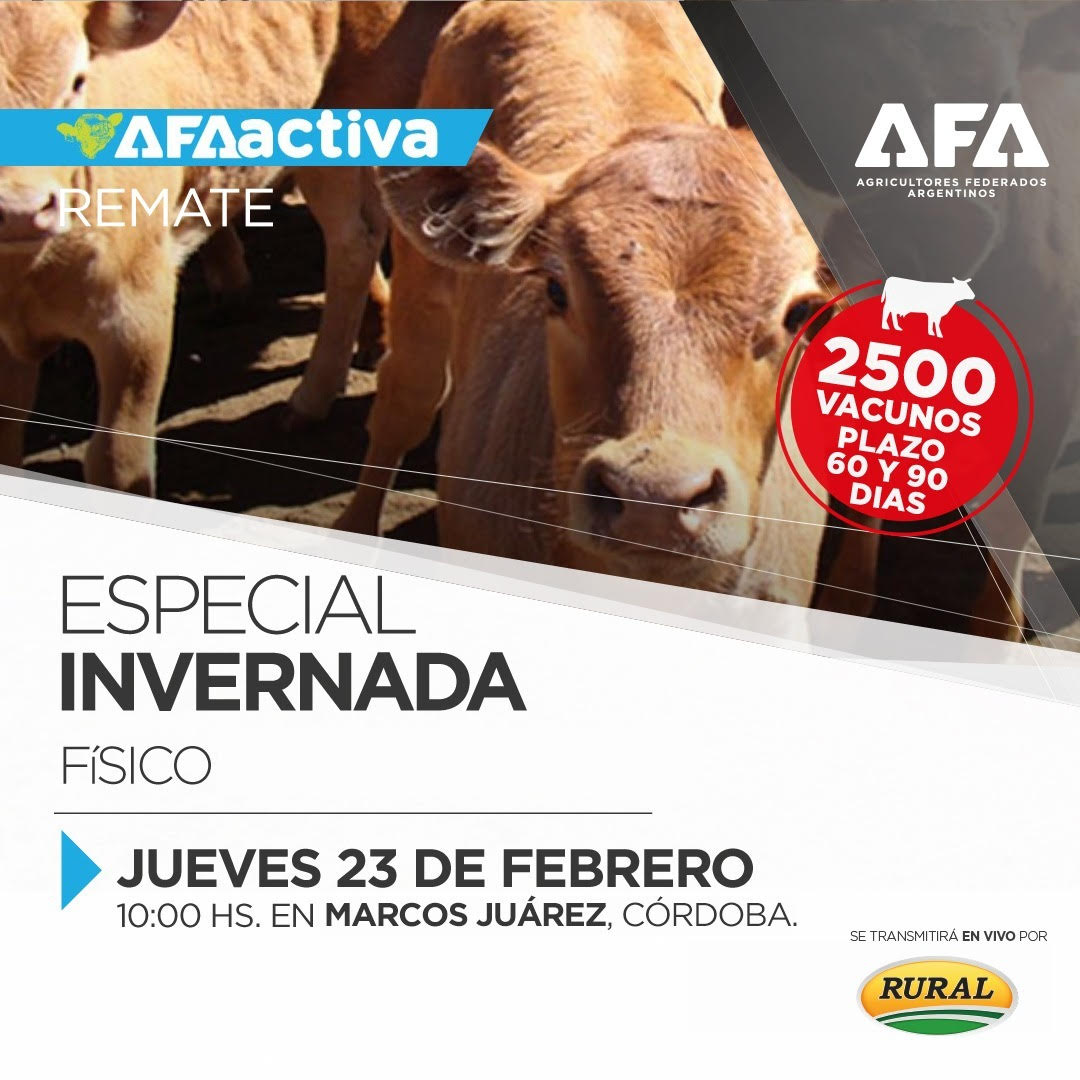 Jueves AFAACTIVA con un remate especial de invernada en Marcos Juárez