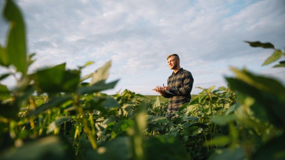 CREA: Más del 90% de los productores fue afectado por la sequía y un 62% cree que empeorará la economía