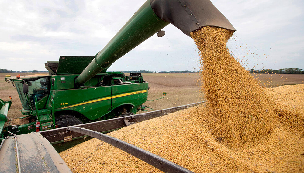 Golpe de calor y súper sequía: 190 dólares más de pérdidas para soja de 1ra y 330 dólares más para maíz tardío