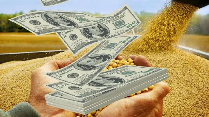 ¿Qué productos se incluyen en el dólar agro o dólar soja hoy?