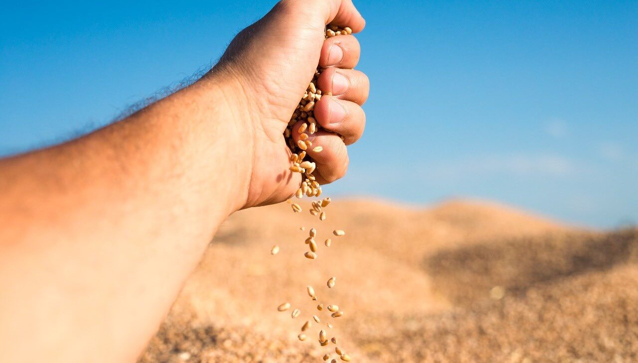 Organizan primer Congreso de distribuidores del agro con temas como la distribución del futuro, rol logístico y última milla, agretailers y startup en el agro