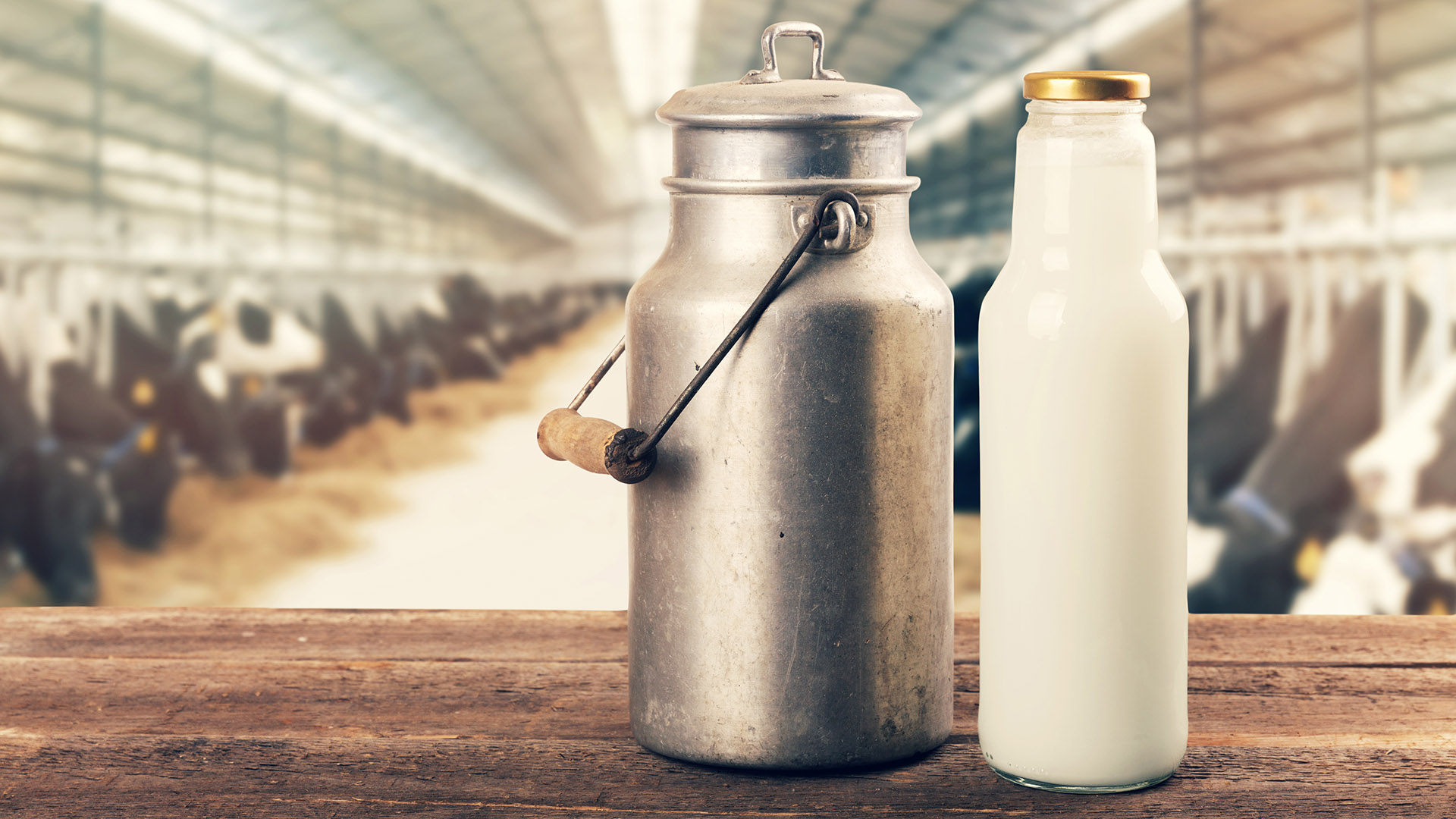 CREA anticipa un escenario complejo de la lechería para los próximos meses