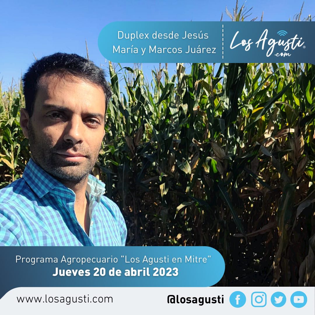 Los Agusti en Mitre: Programa Agropecuario del jueves 20 de abril (AUDIO)