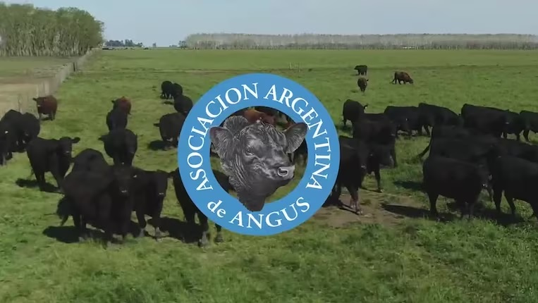 Bustillo: “La federalización de Angus es nuestro orgullo”