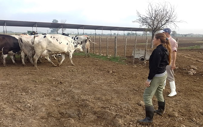 TodoLáctea en Esperanza será una gran exposición y epicentro de capacitación para tamberos