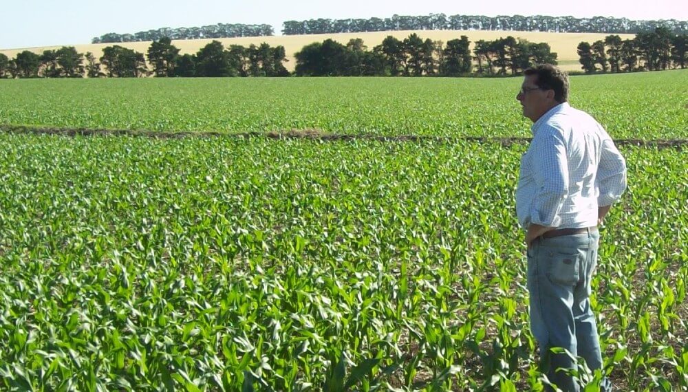 Pesimismo extendido: el 95% de los productores piensa que la situación del agro seguirá empeorando