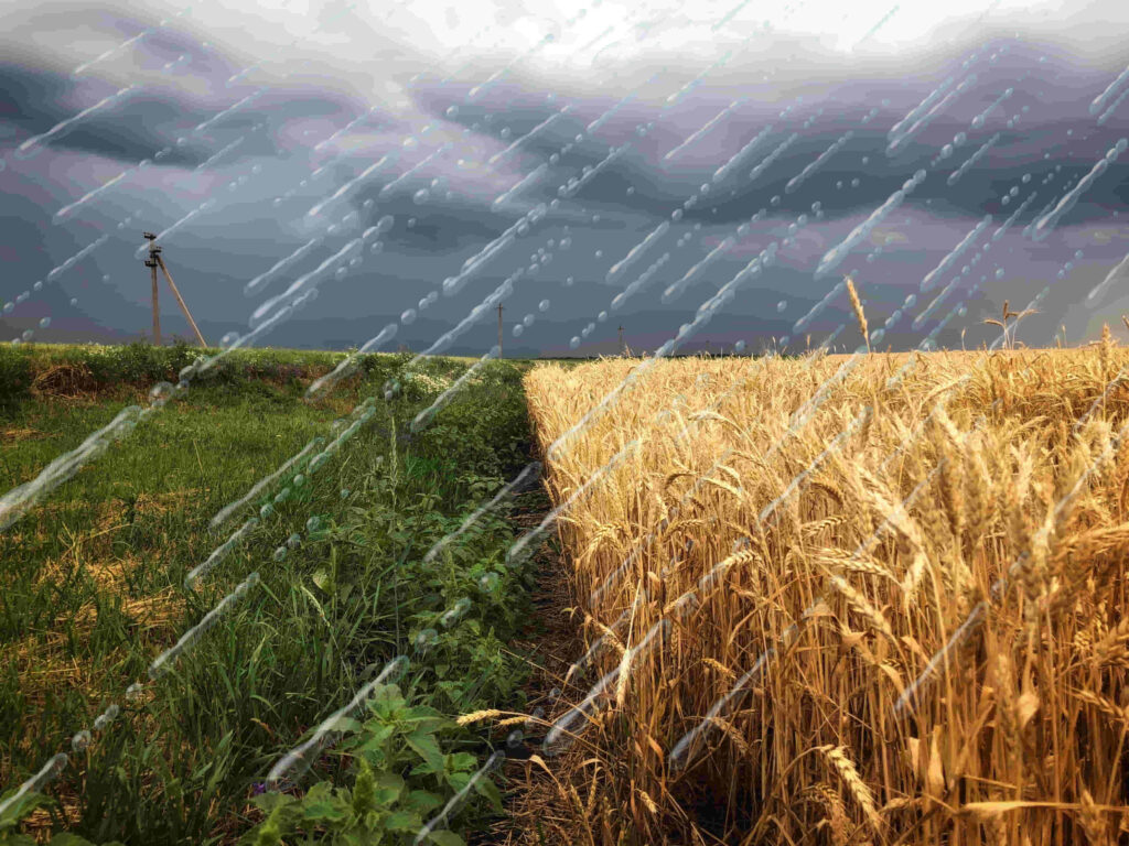 BCR: Abril se va sin cumplir con el 70% de las lluvias en la región pampeana