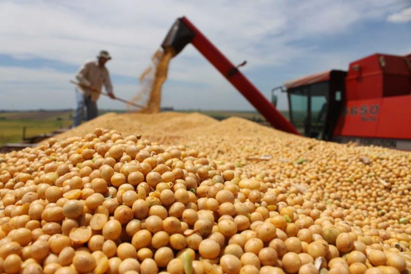 Las exportaciones de soja y maíz son las más bajas en 21 años