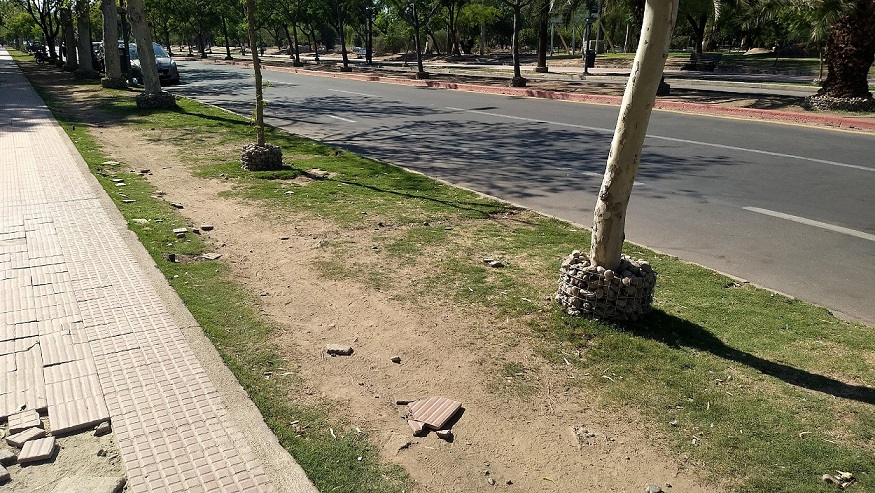 Mala praxis en espacios verdes de la ciudad de Córdoba