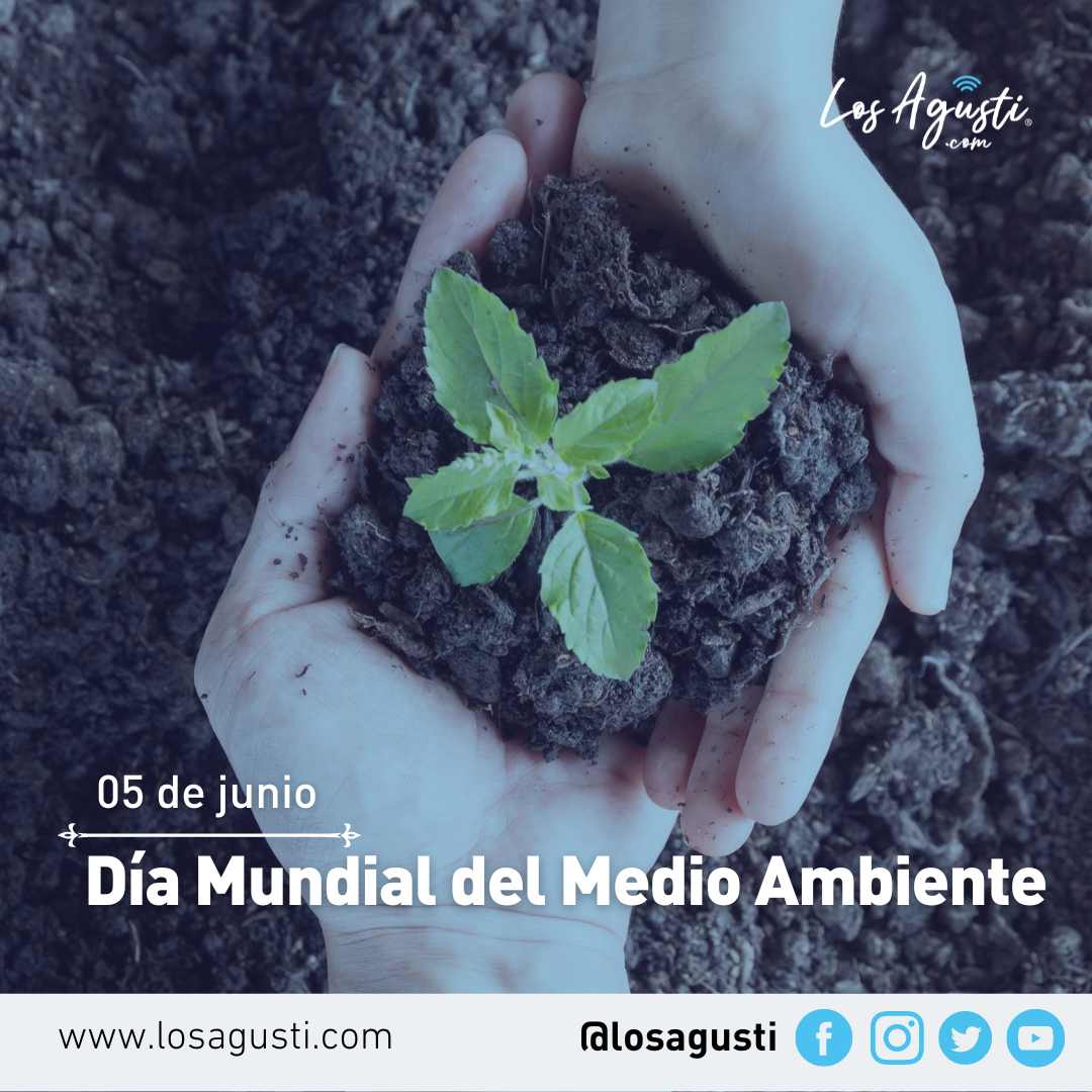 Día Mundial del Medio Ambiente 2023: En busca de eliminar la huella plástica