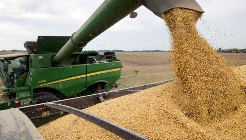 El trigo retrocedió un 23% interanual, mientras que soja y maíz perdieron 20% y 19%, respectivamente  