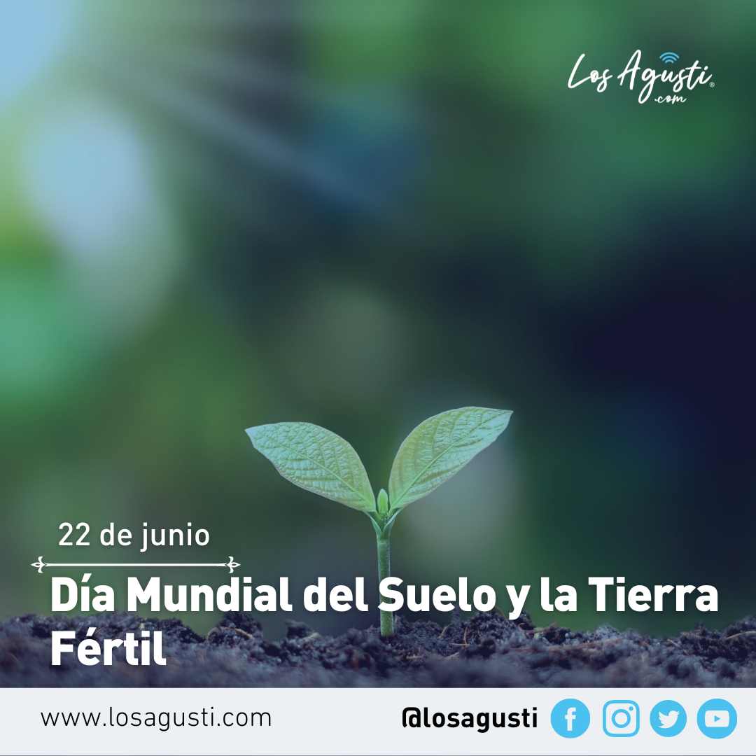 22 de junio: Día Mundial del Suelo y la Tierra Fértil