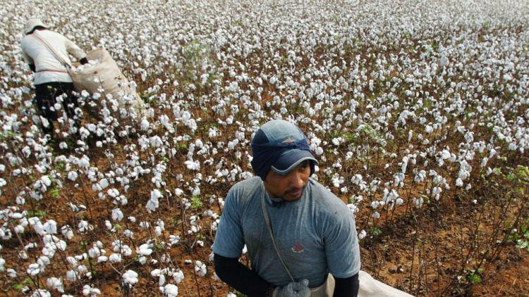 Por la sequía, el 57% de las economías regionales están en crisis o con signos de deterioro