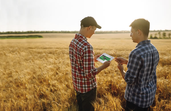 Soluciones de software para lograr mayor eficiencia en la gestión de las empresas agropecuarias en Agronea