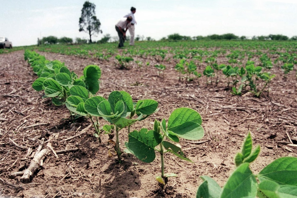 Récord desde 2017: cuánto necesitaron los productores para las siembras de la campaña 2022/23