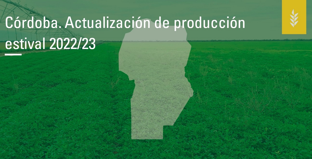 Córdoba: Nuevas estimaciones de producción estival 2022/23 con bajas en todos los cultivos 