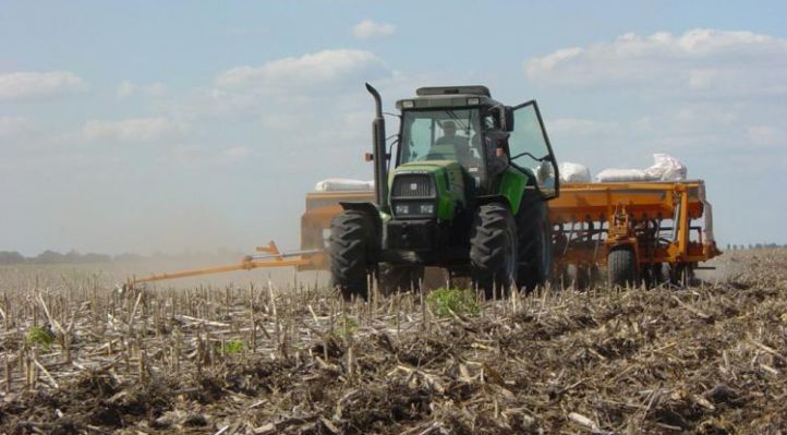 Córdoba: disminuye históricamente la siembra de trigo y aumenta la de garbanzo