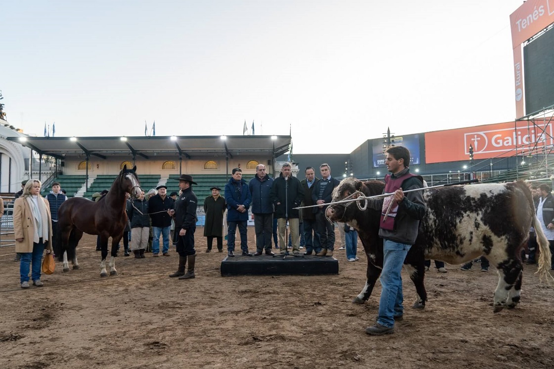 Ingresaron los primeros animales a la Expo Rural