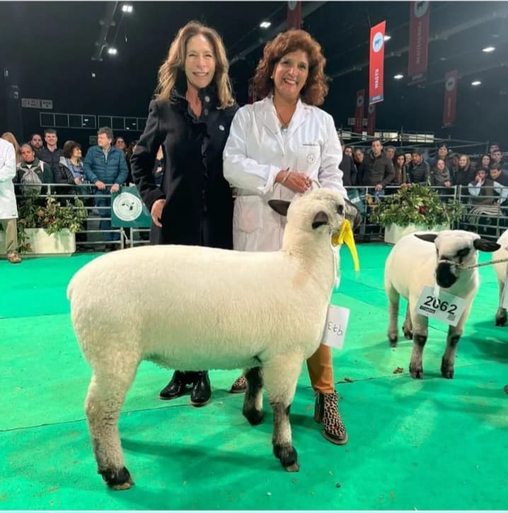 La reservada Gran Campeona de la raza Hampshire Down pertenece a una escuela cordobesa