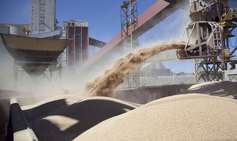 La oportunidad que se le abre a la harina de soja argentina en el contexto del cambio energético