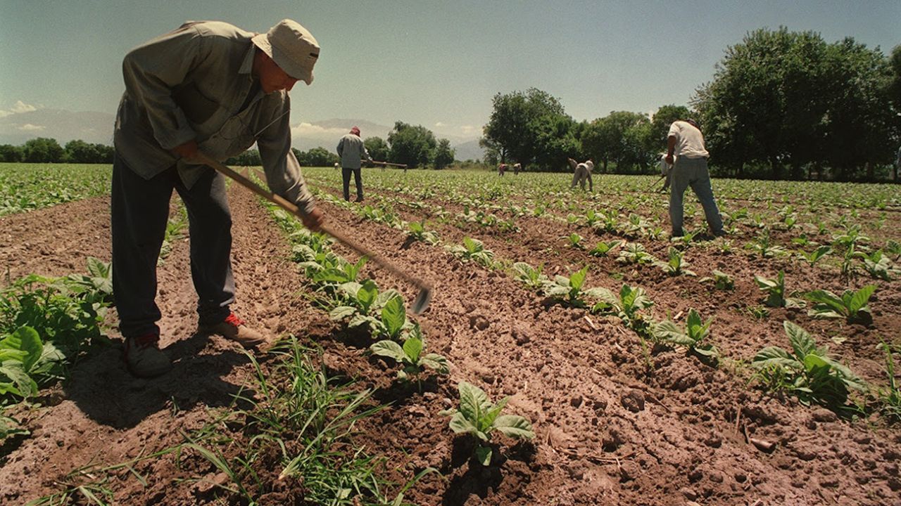 Acuerdan un aumento salarial para trabajadores rurales: 26%, retroactivo a julio y disparó el enojo de CRA