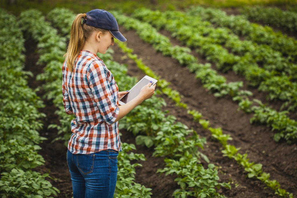 Contextos complejos, respuestas simples: ya se pueden firmar contratos de granos desde el celular
