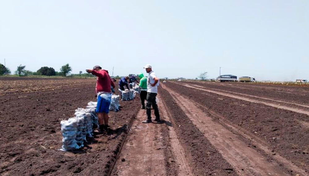 CRA rechaza el bono ordenado por el Gobierno Nacional