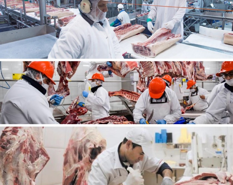 Carnes: Los volúmenes exportados en agosto representaron un 33,4% de las cerca de  278,7 mil toneladas res con hueso producidas en el período 