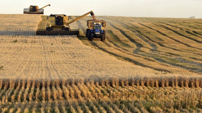 Acopiadores: No hay cambios en la comercialización del trigo argentino