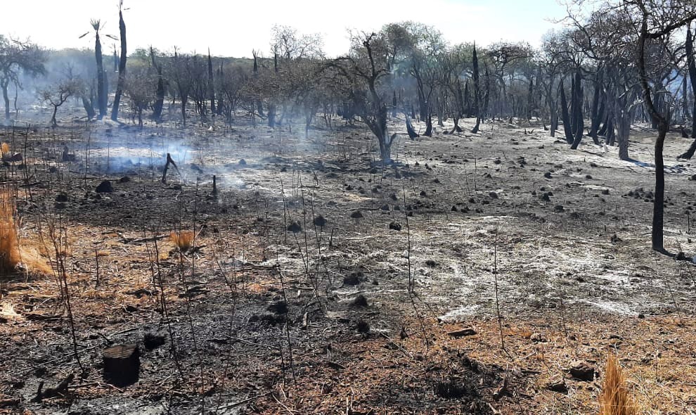 No quedan incendios con actividad en la provincia de Córdoba