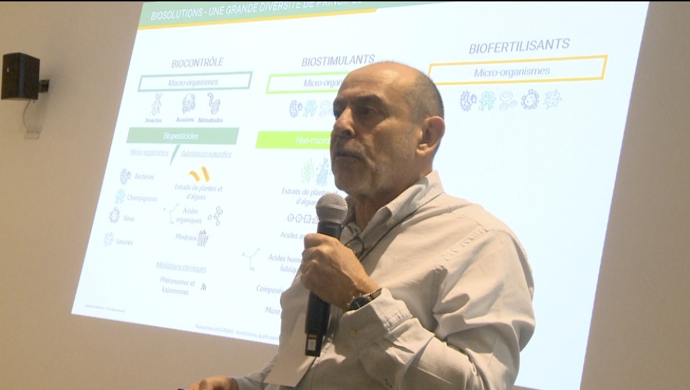 Jornada de Casafe: los claroscuros del plan de Europa para reemplazar agroquímicos por bioinsumos