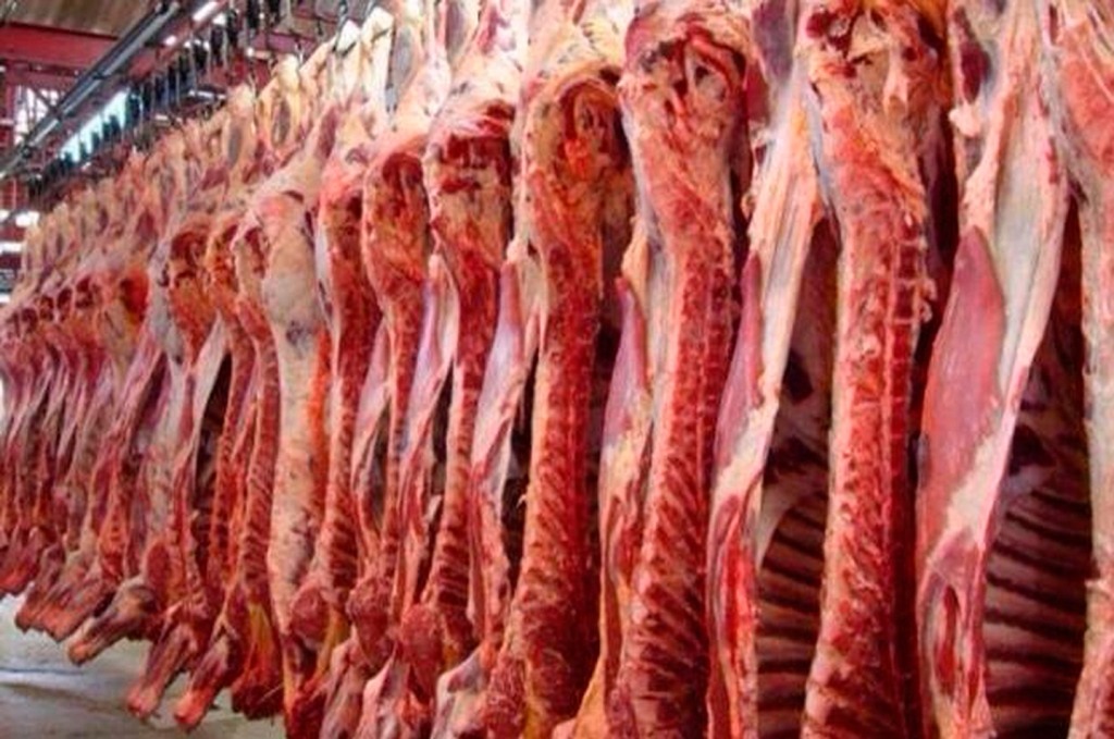 Por primera vez en el año, las exportaciones de carne cayeron en volumen