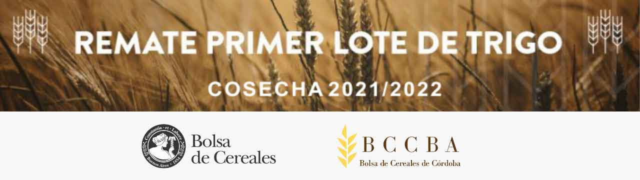 Rematan mañana en la Bolsa de Cereales de Córdoba el primer lote de trigo