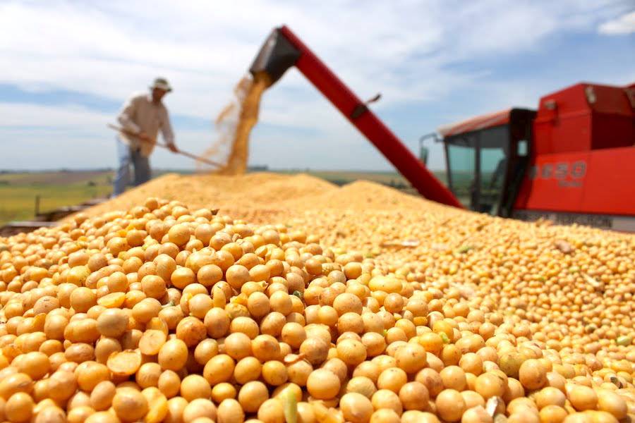 El Gobierno cerró los registros de exportación de granos