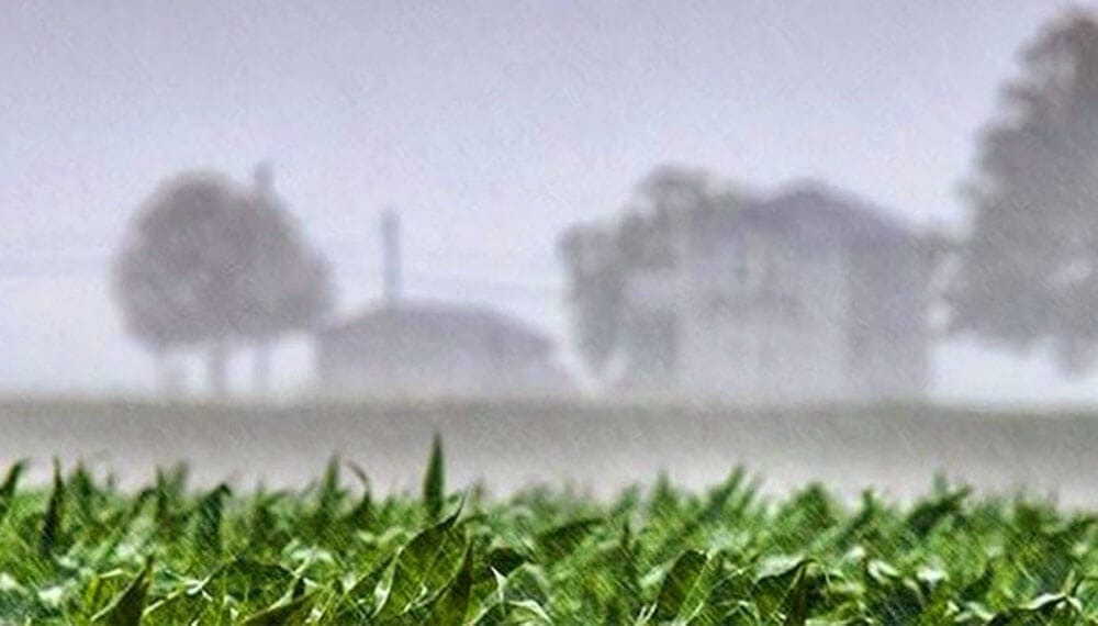 El centro y norte de Córdoba fueron las zonas más beneficiadas por las lluvias