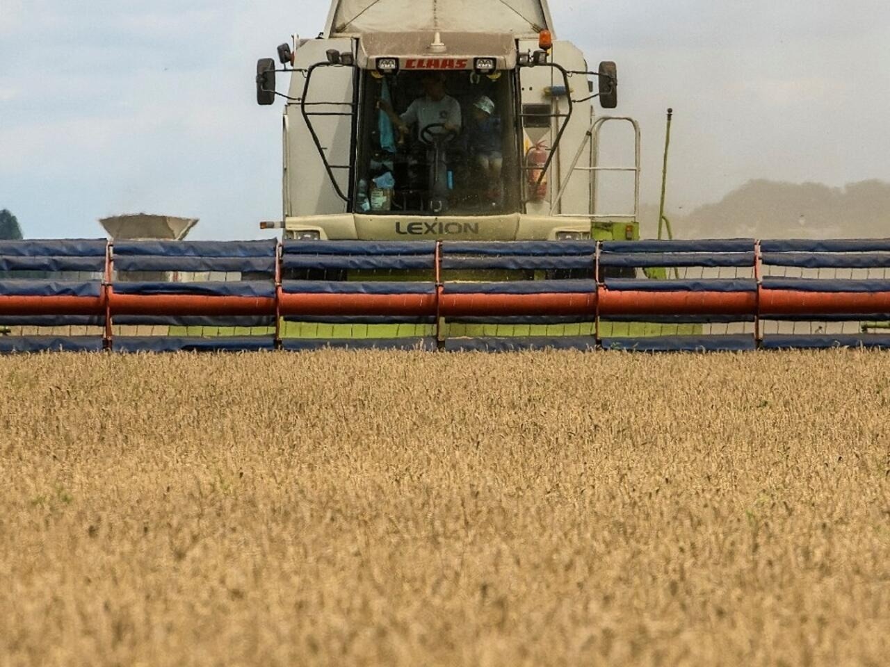 La producción total de granos en la 2023/24 podría alcanzar 137 Mt, un 65% más que en la campaña anterior