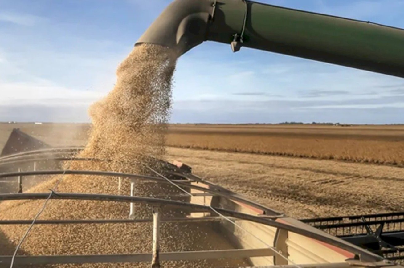 Retenciones : El Consejo Agroindustrial rechazó la suba propuesta por el Gobierno