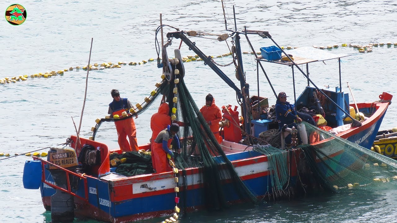 Gobernadores se plantan contra la liberación de la pesca en el Mar Argentino